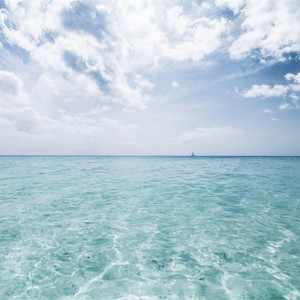 公交车上强伦人妻
